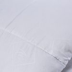 Image of DreamGreen 500gsm Duvet Inner