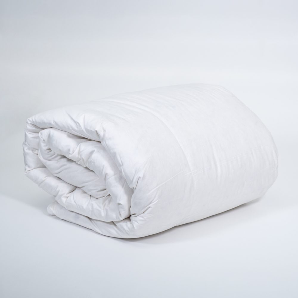 Image of DreamTicket 290gsm Duck Down Duvet Inner