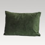 Image of DreamGreen Verve Velvet Cushion Cover Fern - Oblong