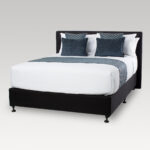 Image of DreamTicket Oxford Oblong Cushion Cover - Korora