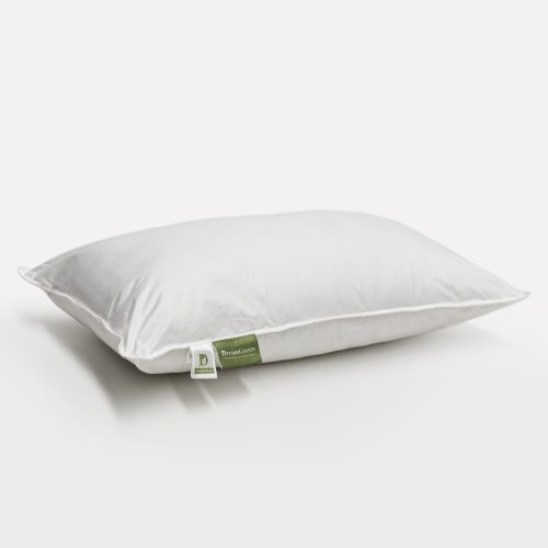 DreamGreen 'Dream' Pillow - 900g