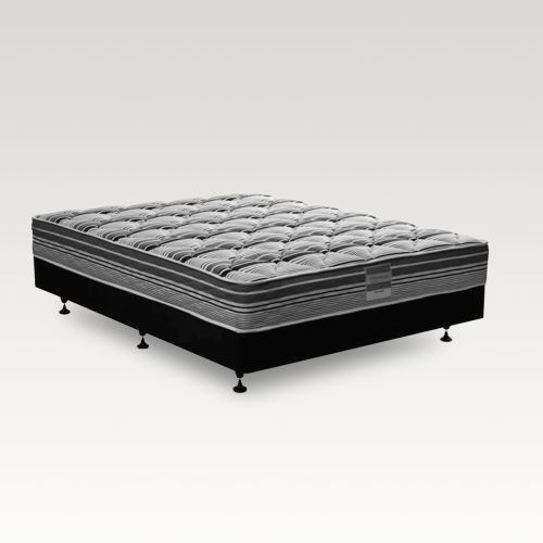 Sealy Corporate Euro Top Mattress