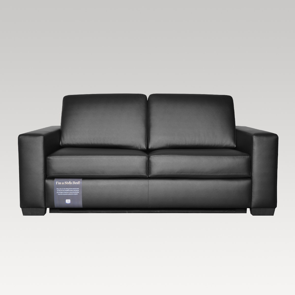 Pu Leather Sofa Bed Nz Baci Living Room